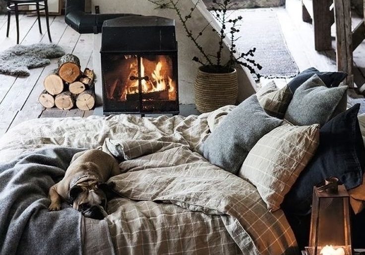 comfy-bed-roaring-fire-and-a-puppy-dream-i-daily-dream-decor-via-style-and-create-landscape